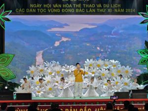 Ca nhạc kỷ niệm Ngày Hội Văn Hoá Thể Thao & Du Lịch Vùng Đông Bắc